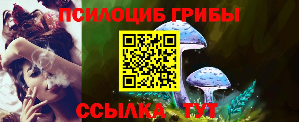 закладки  Галлюциногенные грибы MAGIC MUSHROOMS  Алейск  Вход с VPN  Галлюциногенные грибы Psilocybe 
